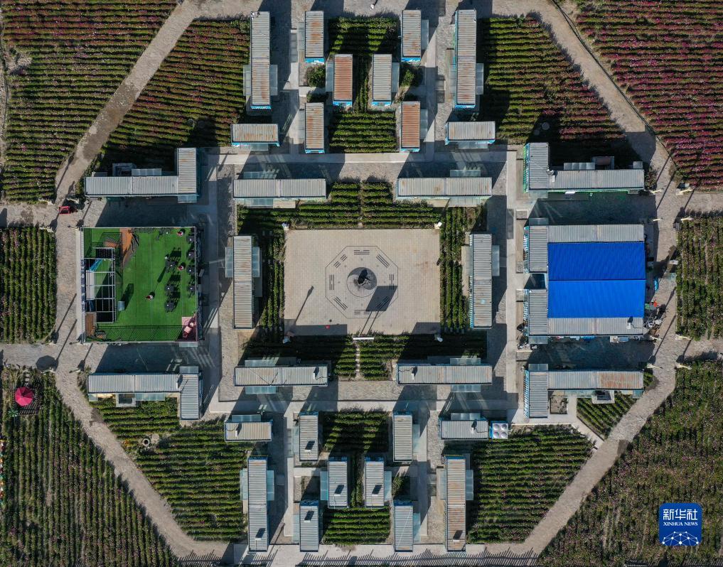 摩斯国际体育